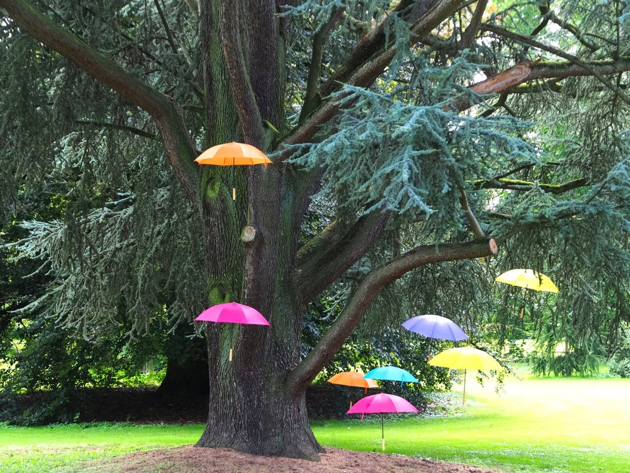 AdobeStock_631499310